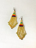 Rainbow Fringe Earrings