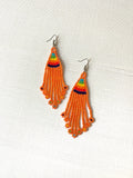 Rainbow Fringe Earrings