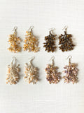 Coral Earrings