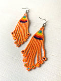 Rainbow Fringe Earrings