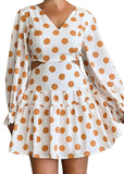 Dottie Mini Dress