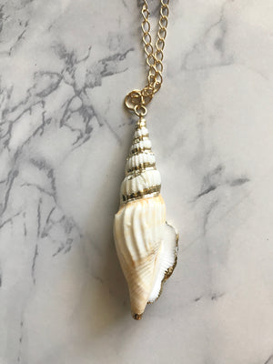 Seashell Necklace