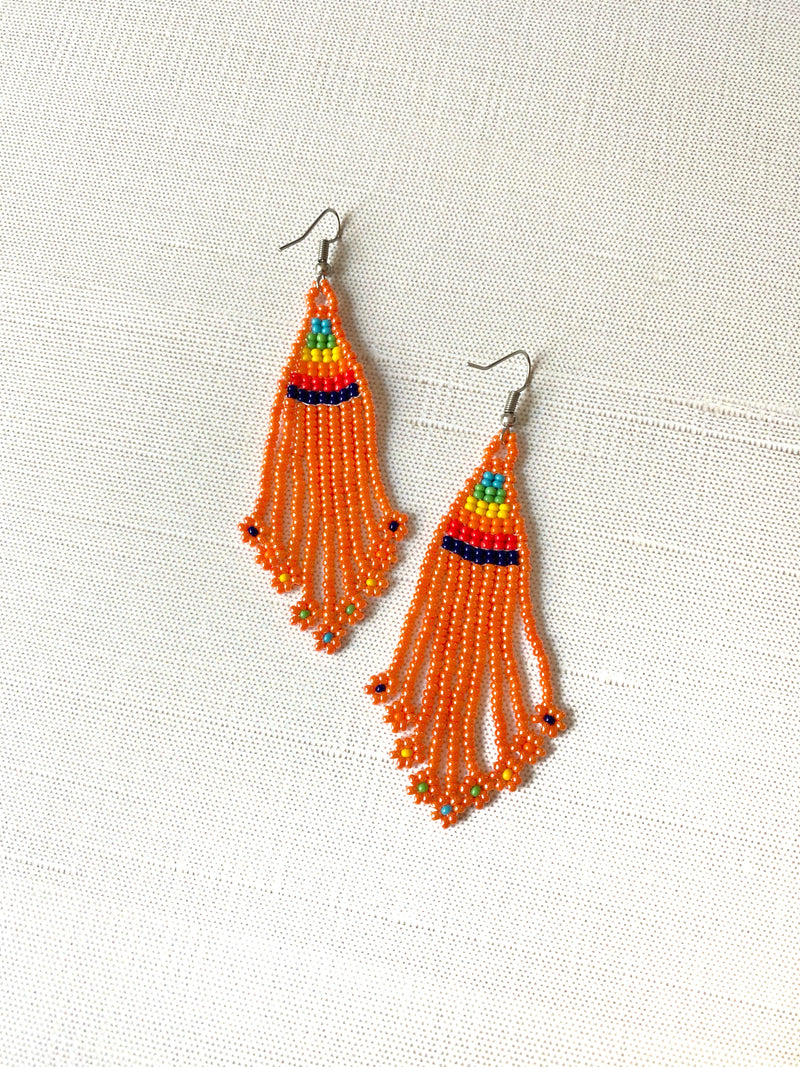 Rainbow Fringe Earrings