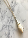 Seashell Necklace