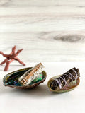 Abalone Shell Bowl + Tripod