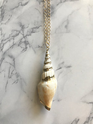 Seashell Necklace